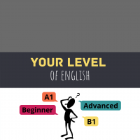 What is your level?